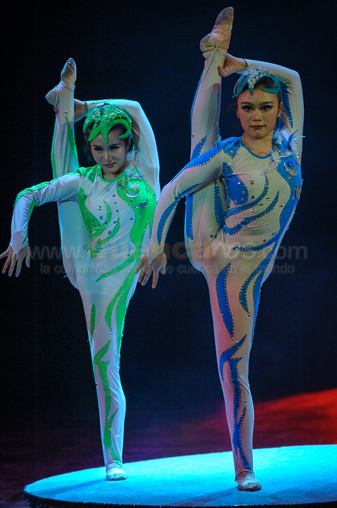 Circo Social 2013