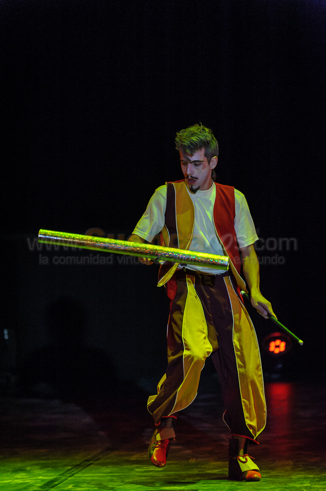 Circo Social 2013