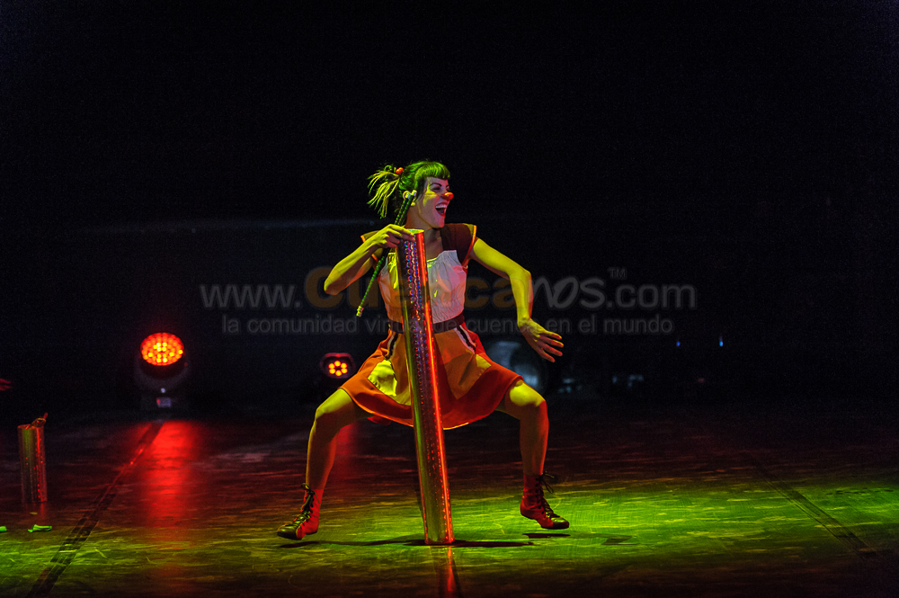Circo Social 2013