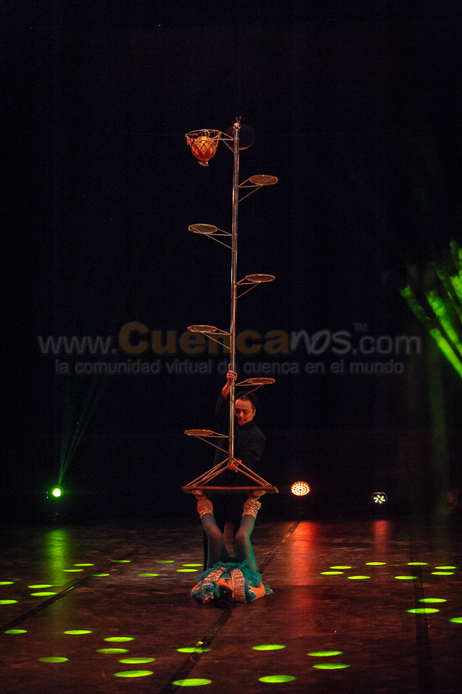 Circo Social 2013