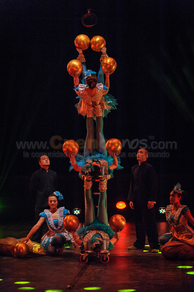 Circo Social 2013