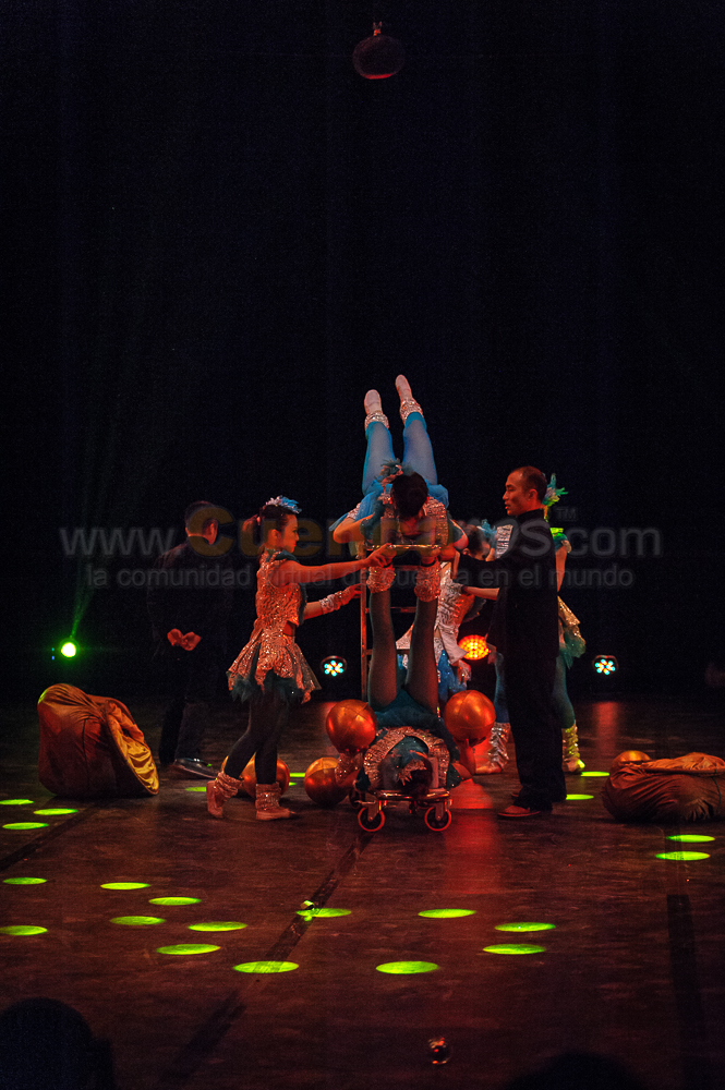 Circo Social 2013