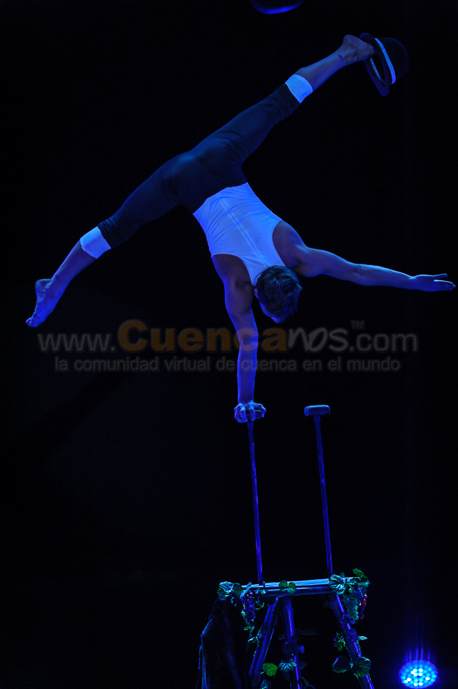 Circo Social 2013
