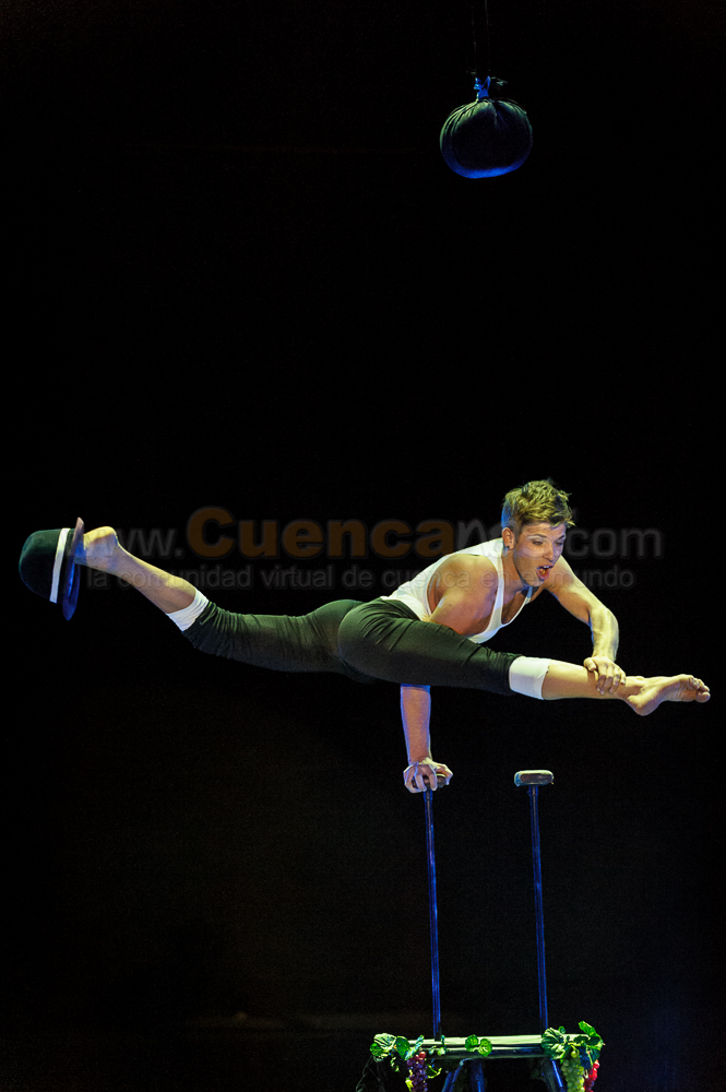 Circo Social 2013