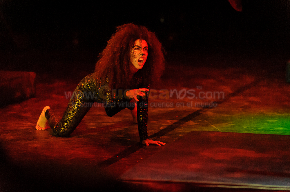 Circo Social 2013