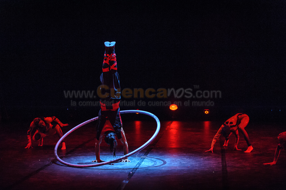 Circo Social 2013