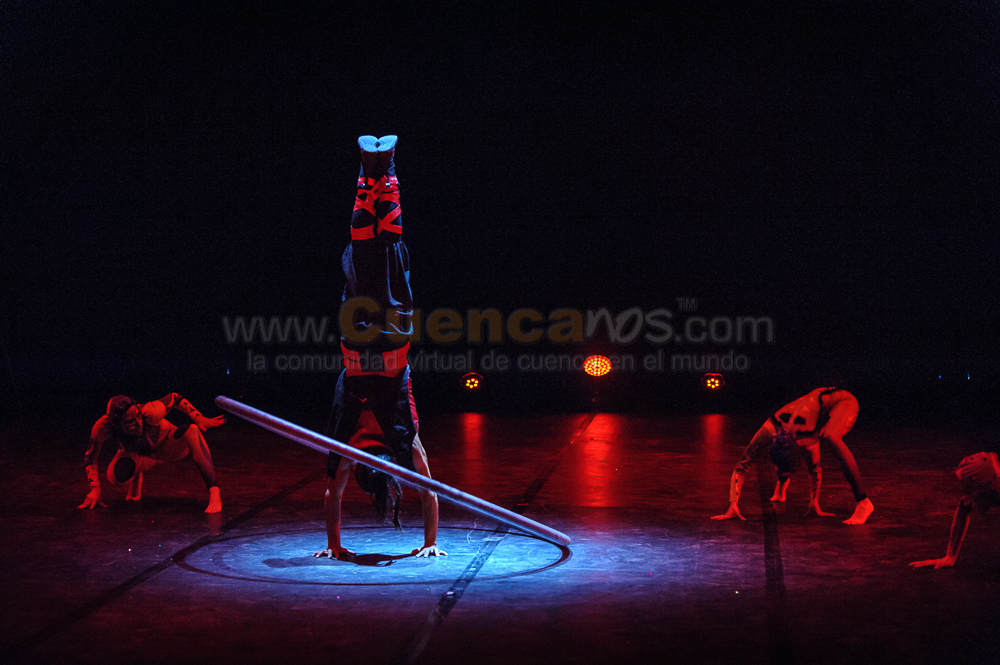 Circo Social 2013