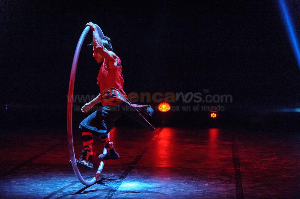 Circo Social 2013