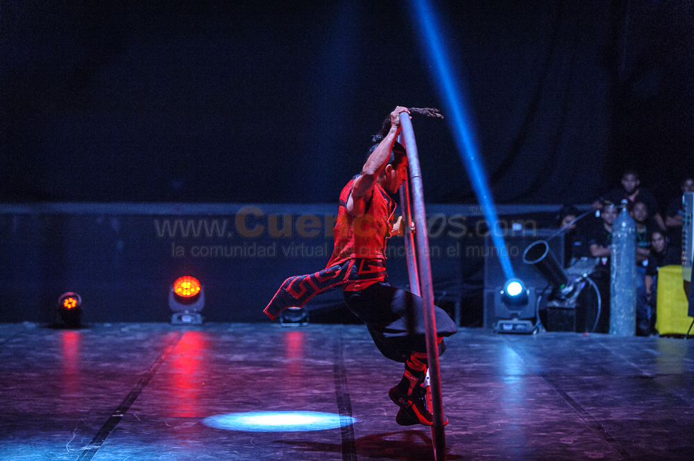 Circo Social 2013