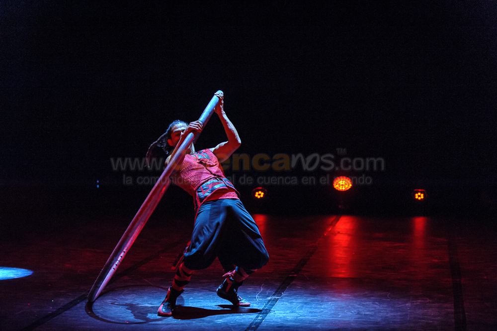 Circo Social 2013
