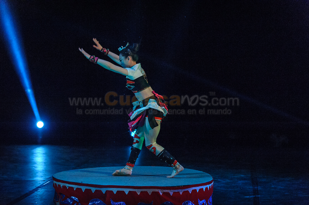 Circo Social 2013