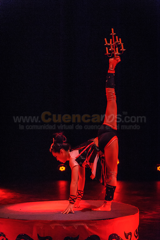 Circo Social 2013