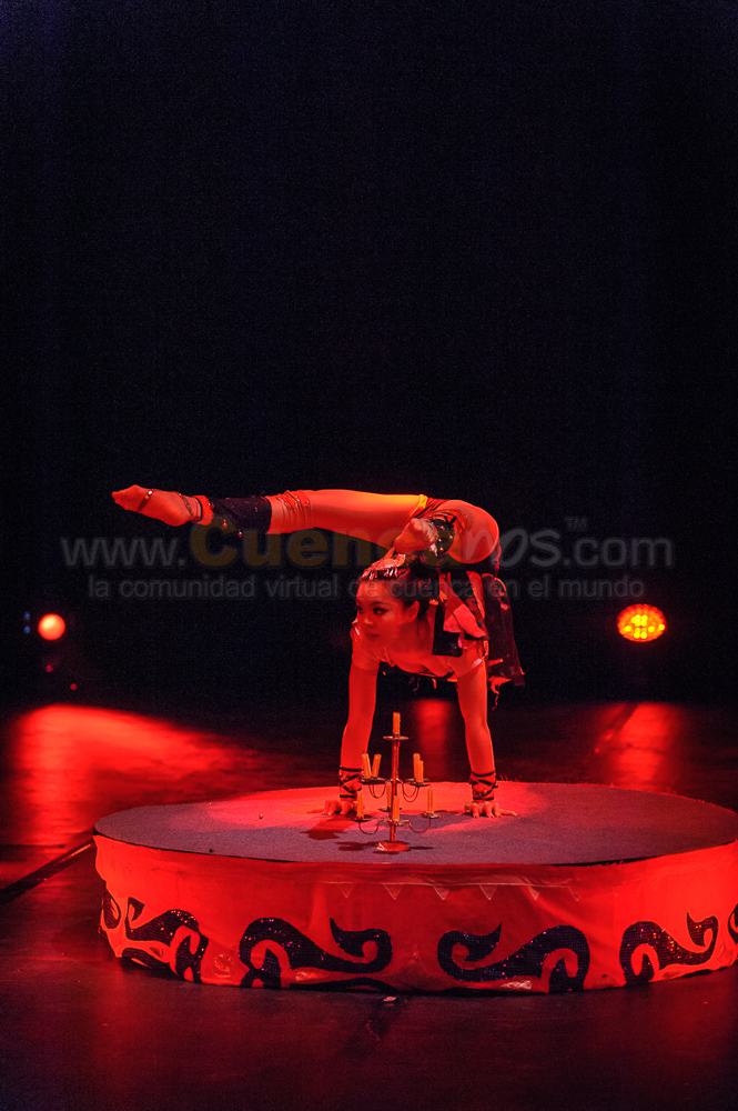Circo Social 2013