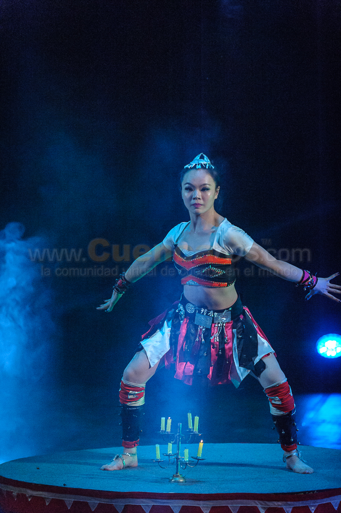 Circo Social 2013