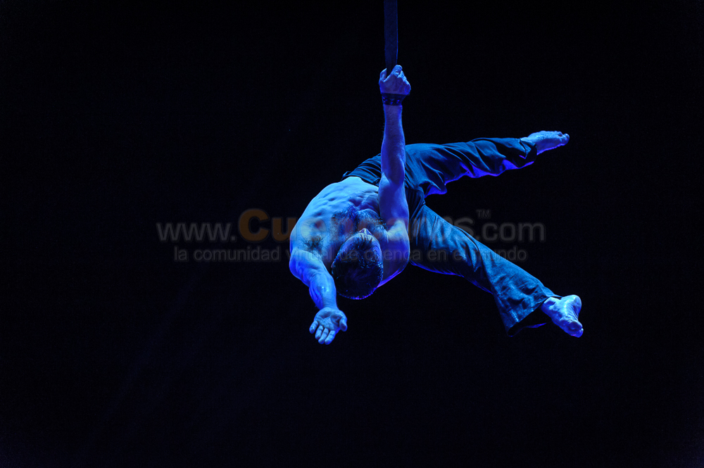 Circo Social 2013