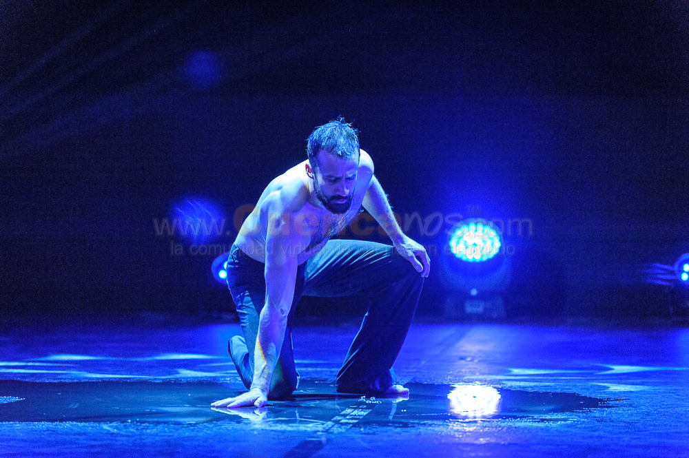 Circo Social 2013