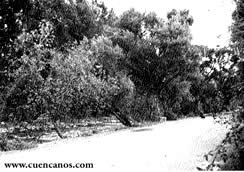 Fotos Cuenca Antiguo