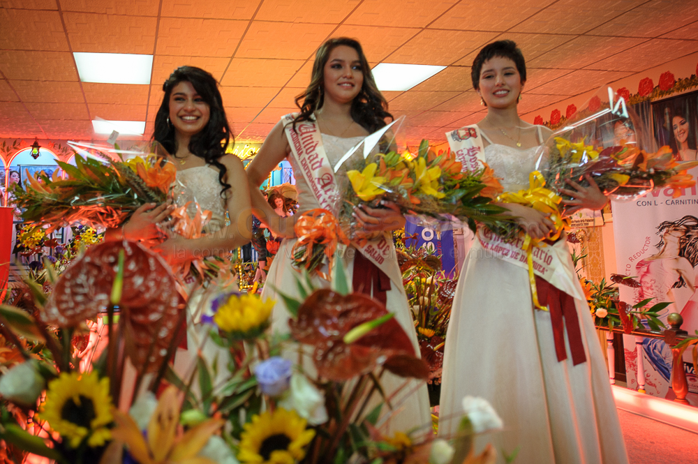 Elección a Morlaquita 2013