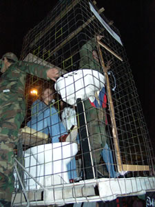 Los Inocentes 2006