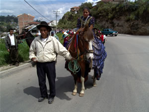 Pasada del Niño 2006