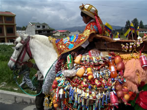 Pasada del Niño 2006