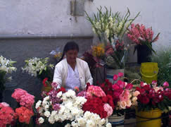 Plaza del Carmen o de las Flores