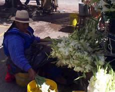 Plaza del Carmen o de las Flores