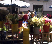 Plaza del Carmen o de las Flores