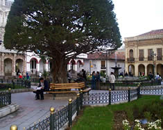 Parque Calderón