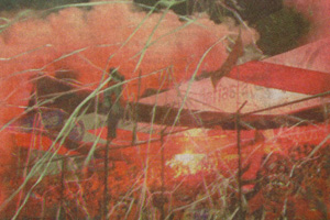 Cronica Roja