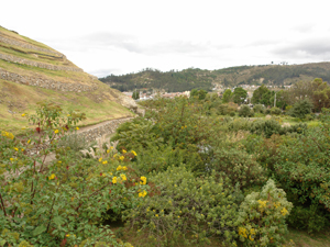 Parque Arqueológico Pumapungo